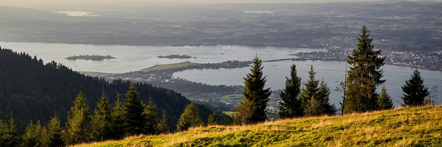 ochsner_sport_biketrail-pfaeffikon-moritz_2025_pt_d