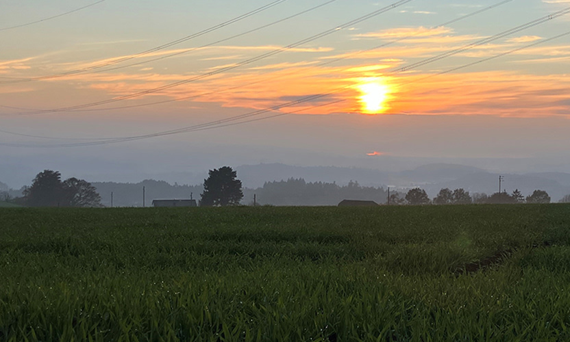 ochsner-sport-biketour-frienisberg_2026_ba_d