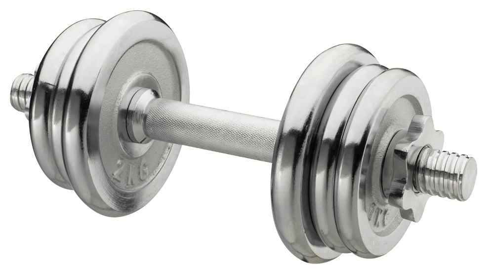 Image of POWERZONE 10 kg Hantel Set Silber, Herren, Größe: 0