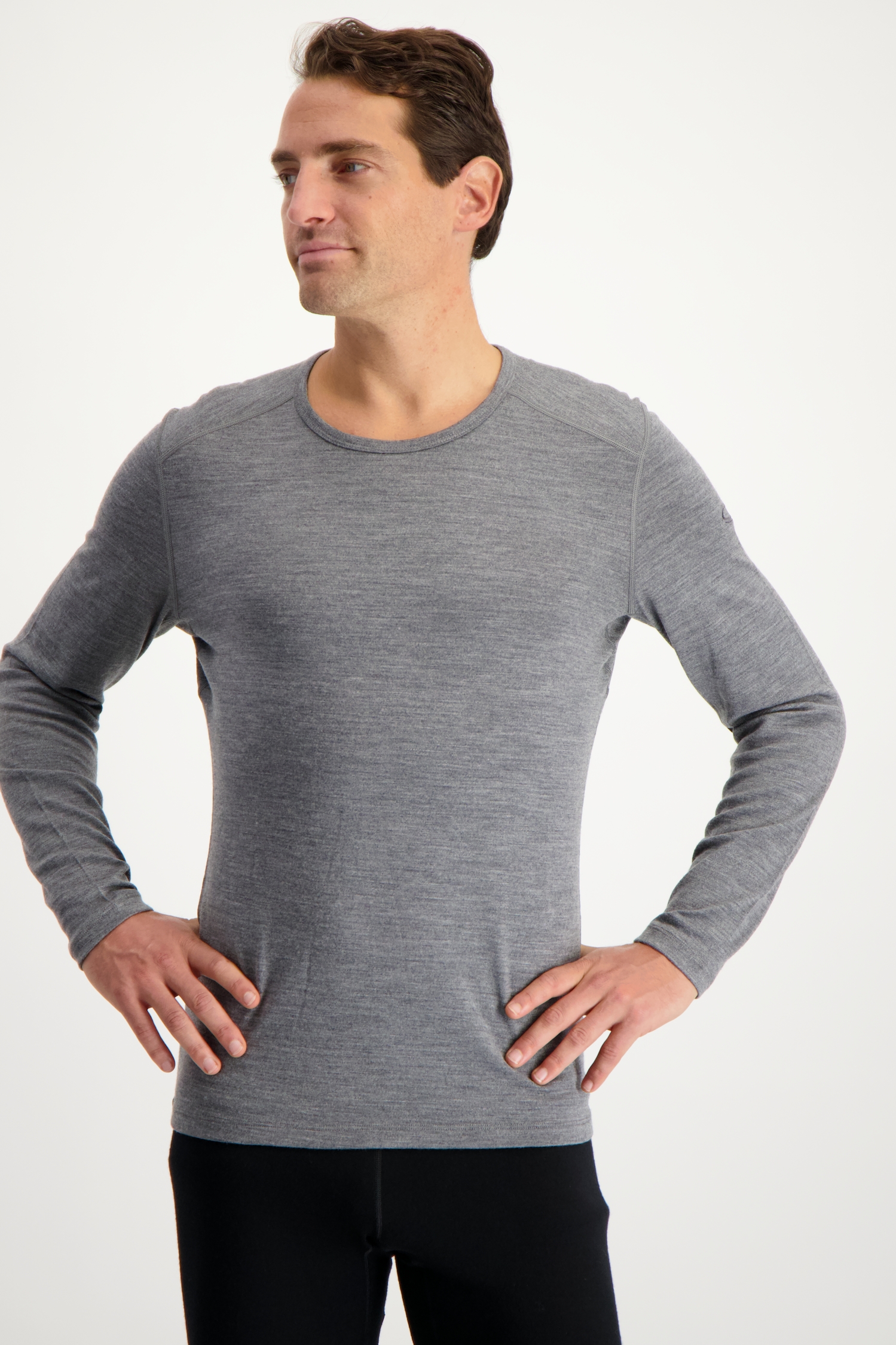 Image of icebreaker Merino 260 Tech Herren Thermo Longsleeve Grau, Herren, Größe: L