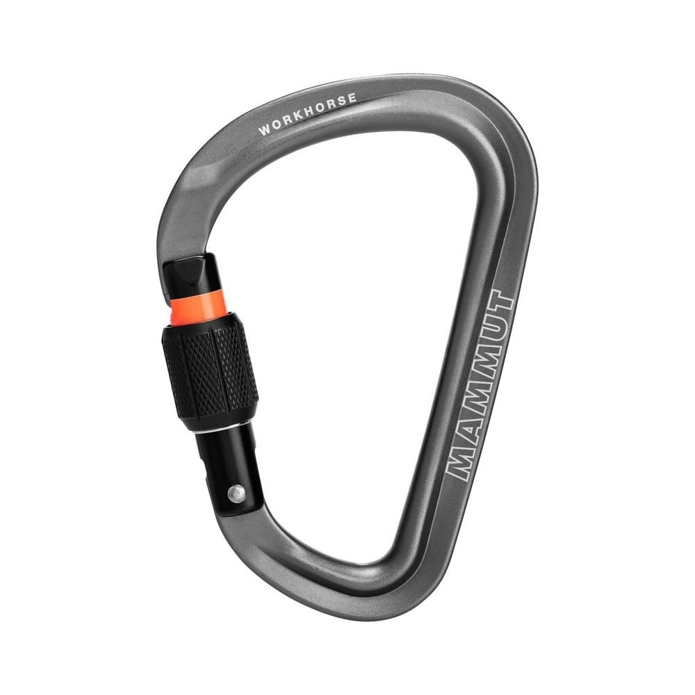 Image of MAMMUT Workhorse HMS Screwgate Karabiner Grau, Herren, Größe: ONE SIZE