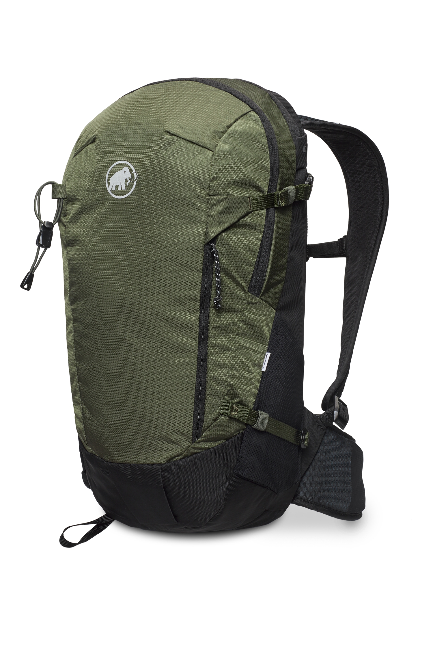 Image of MAMMUT Lithium 20 L Wanderrucksack Grün, Herren, Größe: ONE SIZE