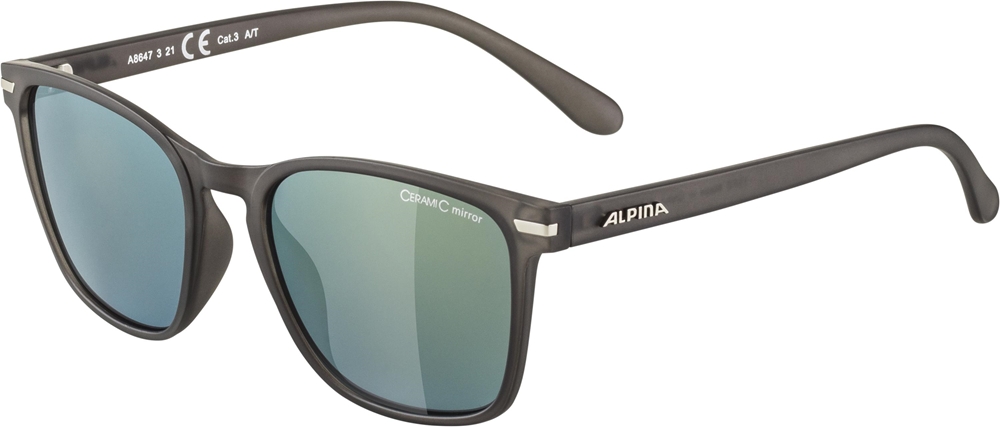 Image of ALPINA Yefe Sonnenbrille Grau, Herren, Größe: ONE SIZE