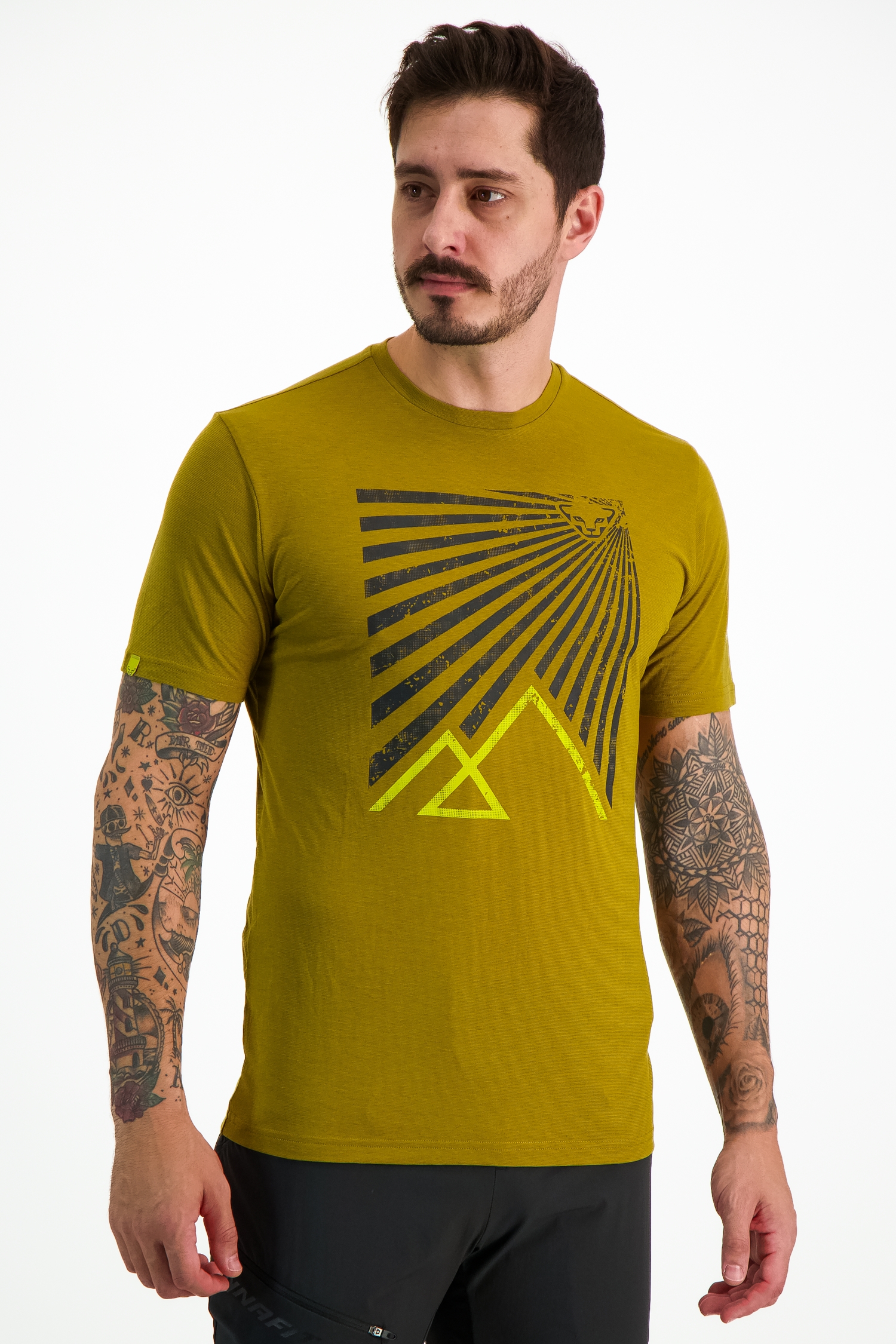 Image of Dynafit Transalper Graphic Herren T-Shirt Beige, Herren, Größe: XL