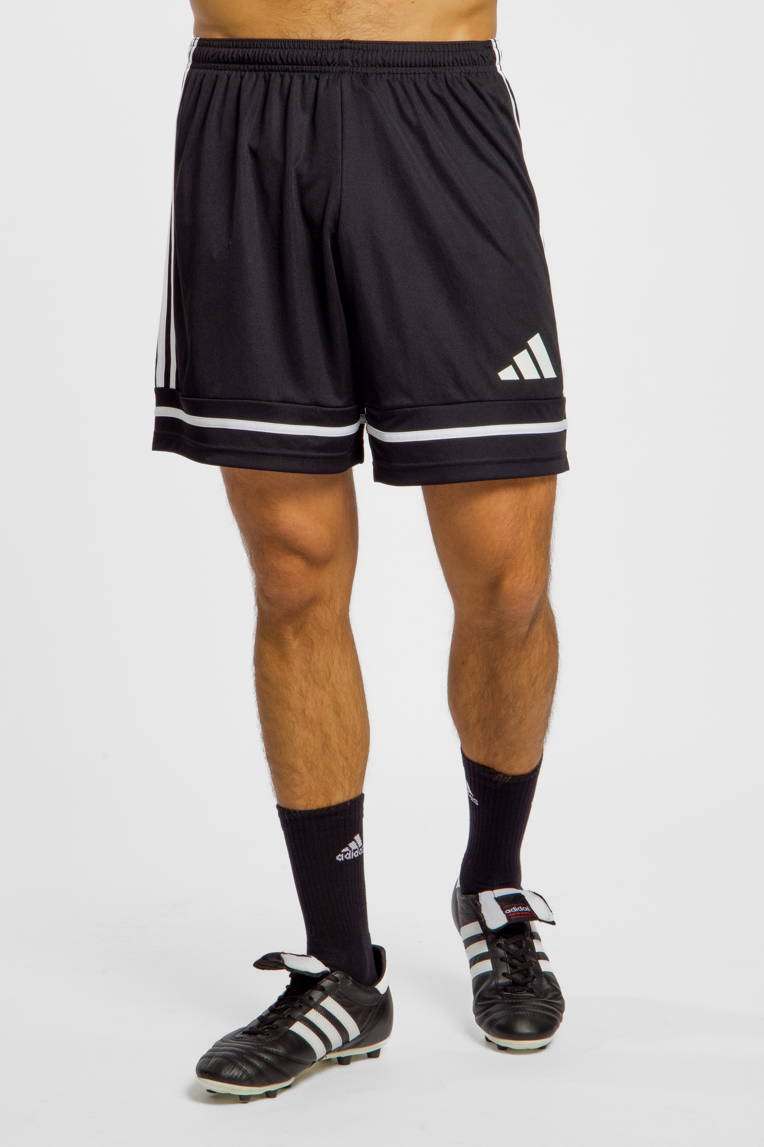 Image of adidas Squadra 25 Herren Short Schwarz, Herren, Größe: L