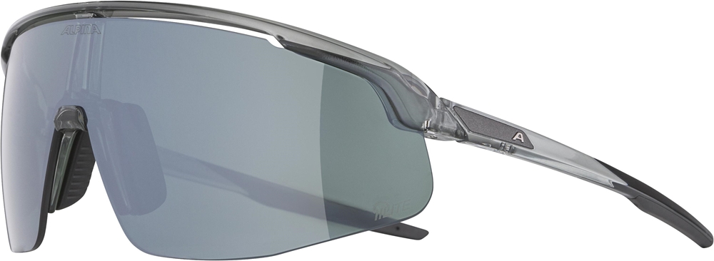 Image of ALPINA Turbo Pro Q-Lite Sportbrille Grau, Herren, Größe: ONE SIZE