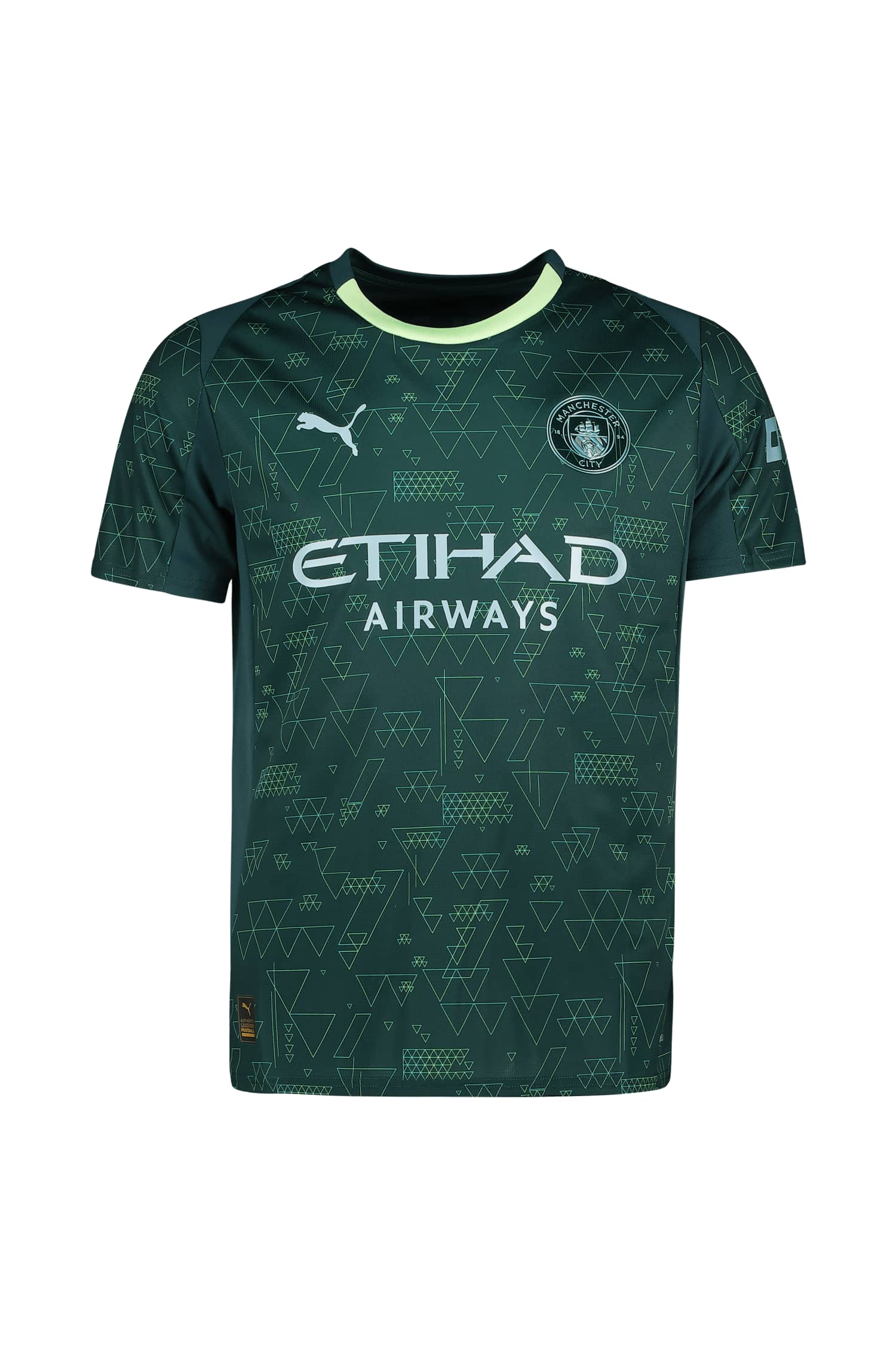 Image of PUMA Manchester City 4th Replica Herren Fussballtrikot 25/26 Grün, Herren, Größe: L