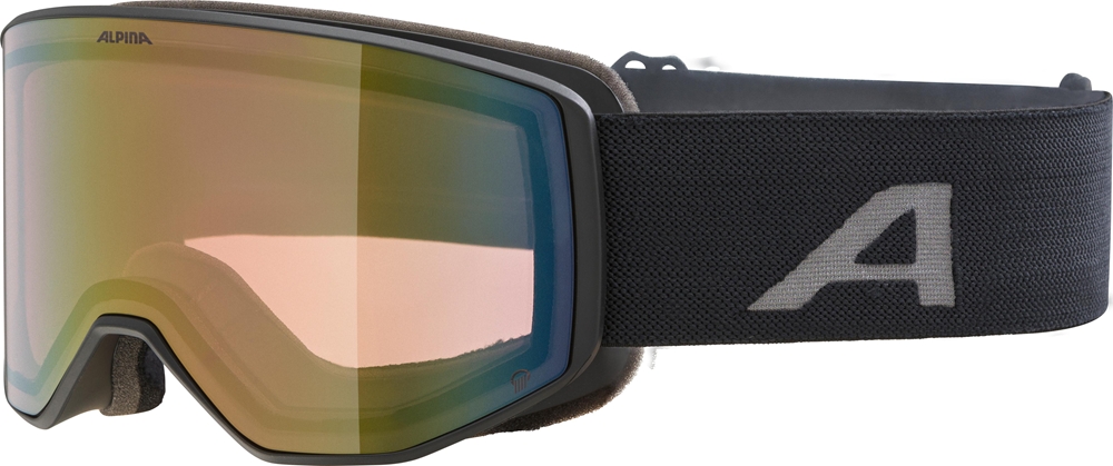 Image of ALPINA Venet Q Skibrille Schwarz, Herren, Größe: ONE SIZE