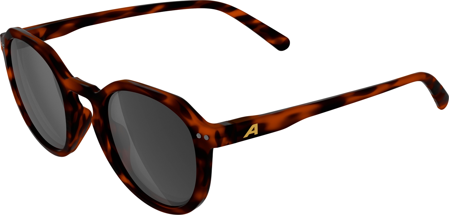 Image of ALPINA Sneek 2.0 Sonnenbrille Braun, Herren, Größe: ONE SIZE