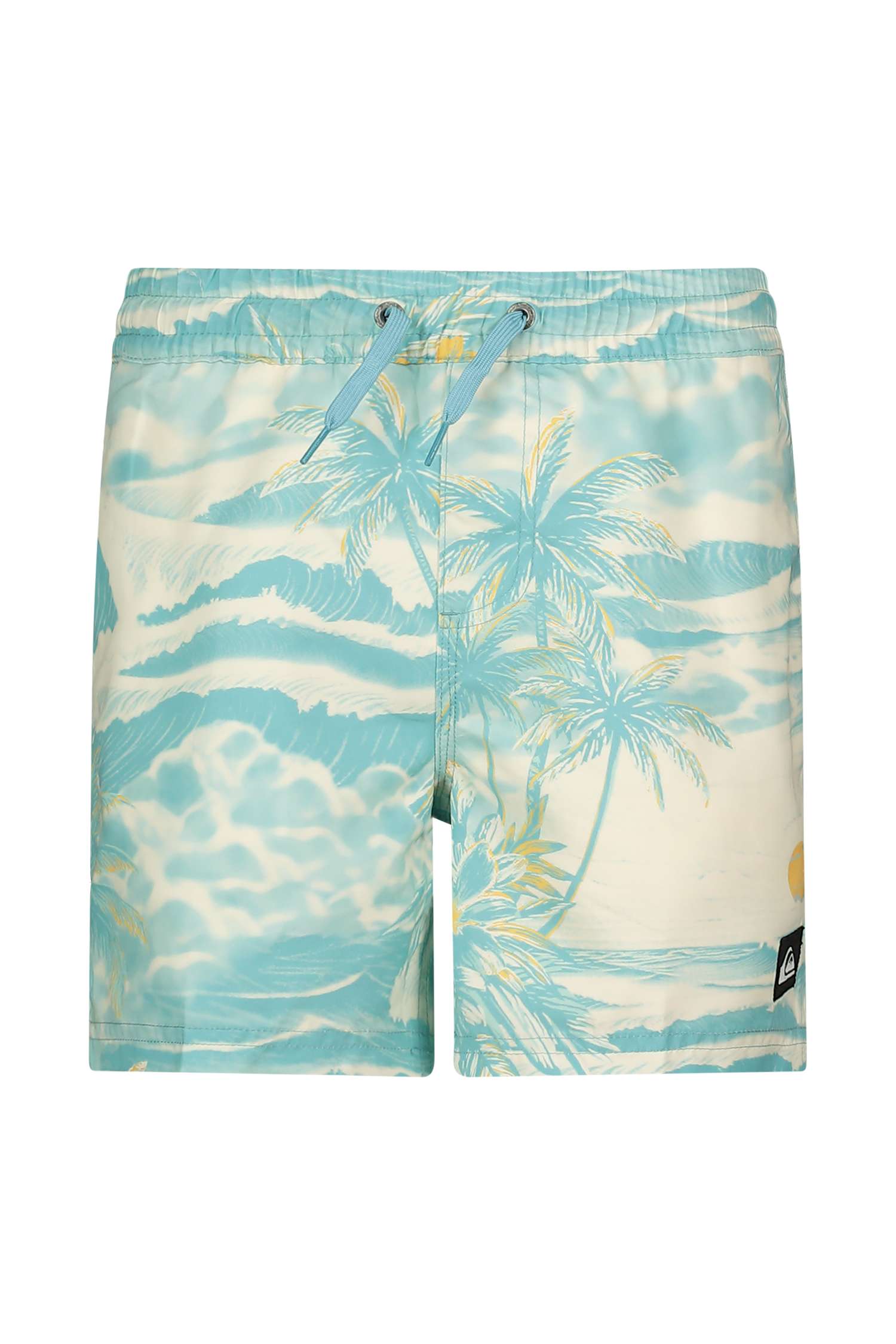 Quiksilver Everyday Printed Volley 14" Jungen Badeshort Blau, , Größe: 128