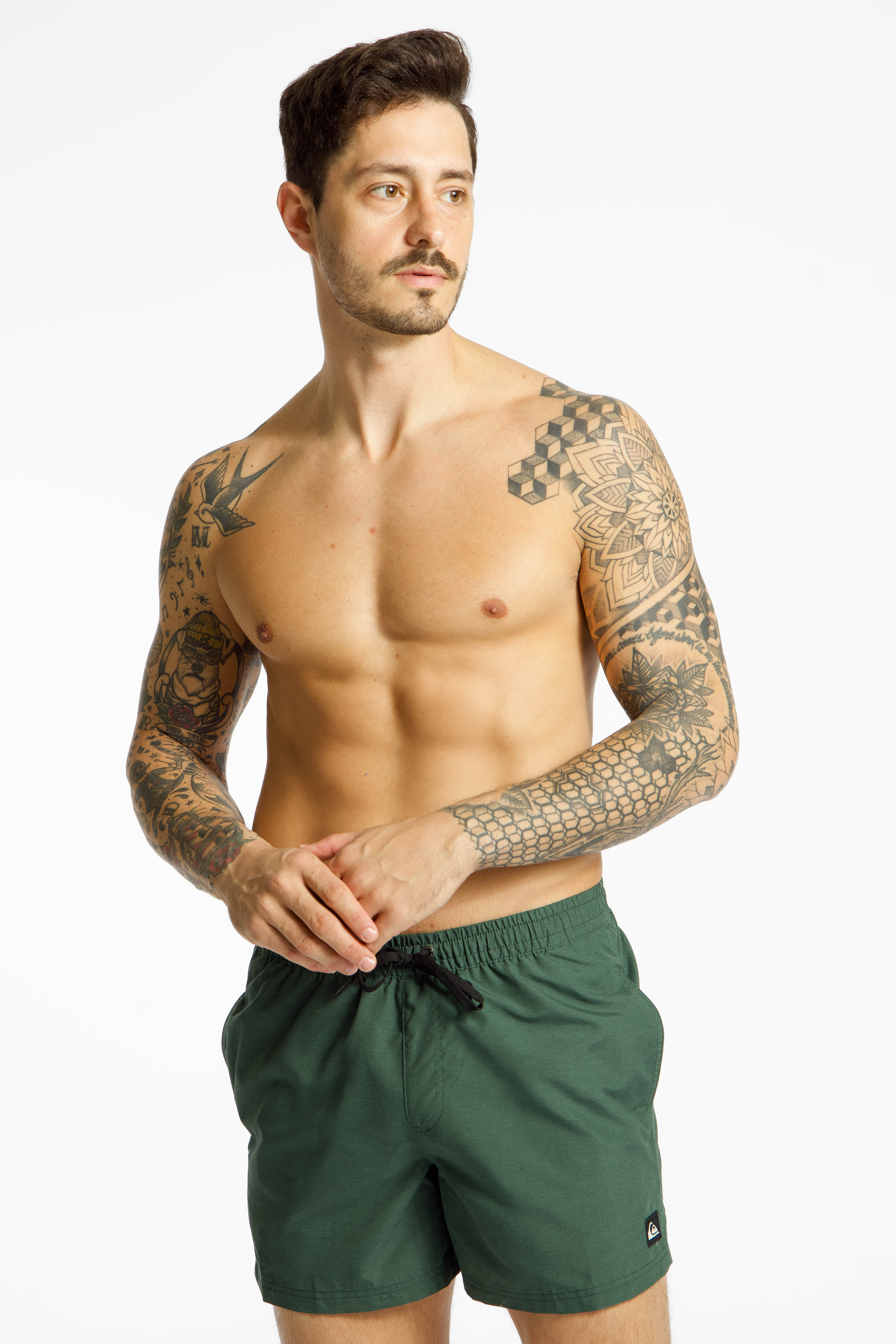 Image of Quiksilver Everyday Solid 15" Herren Badeshort Grün, Herren, Größe: M