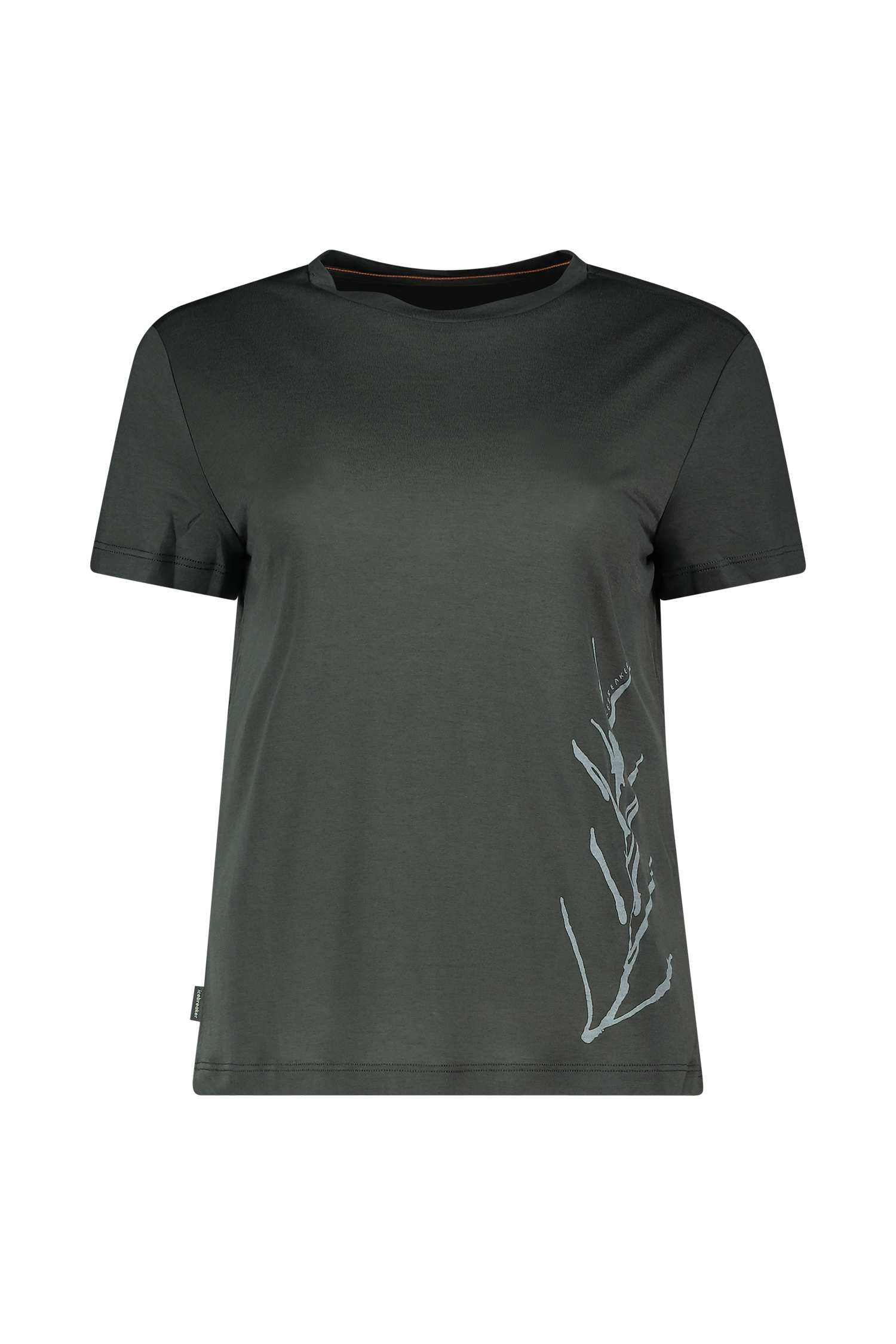 Image of icebreaker Merino Blend 150 Core Panax Damen T-Shirt Grau, Damen, Größe: S