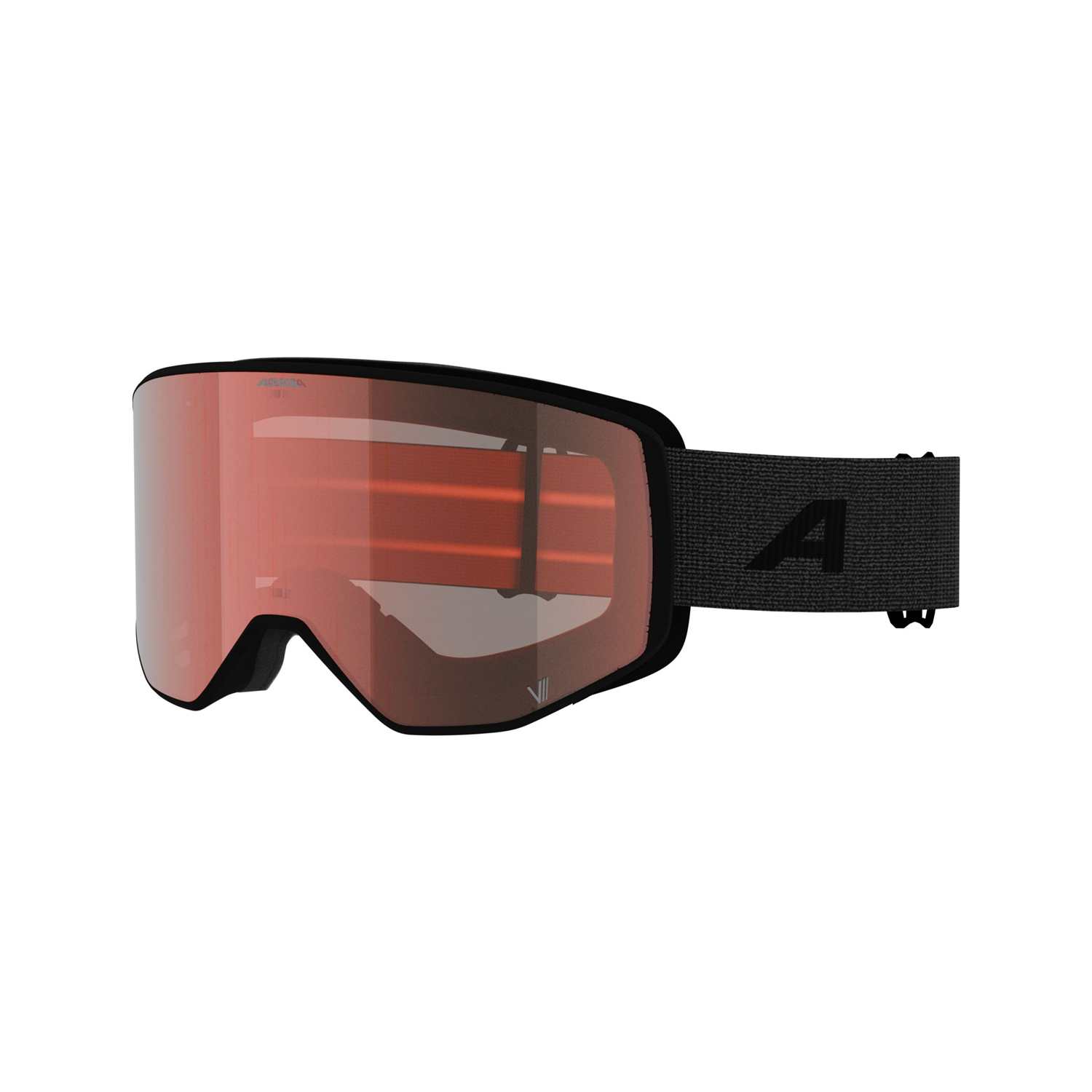 Image of ALPINA Venet V Skibrille Schwarz, Herren, Größe: ONE SIZE