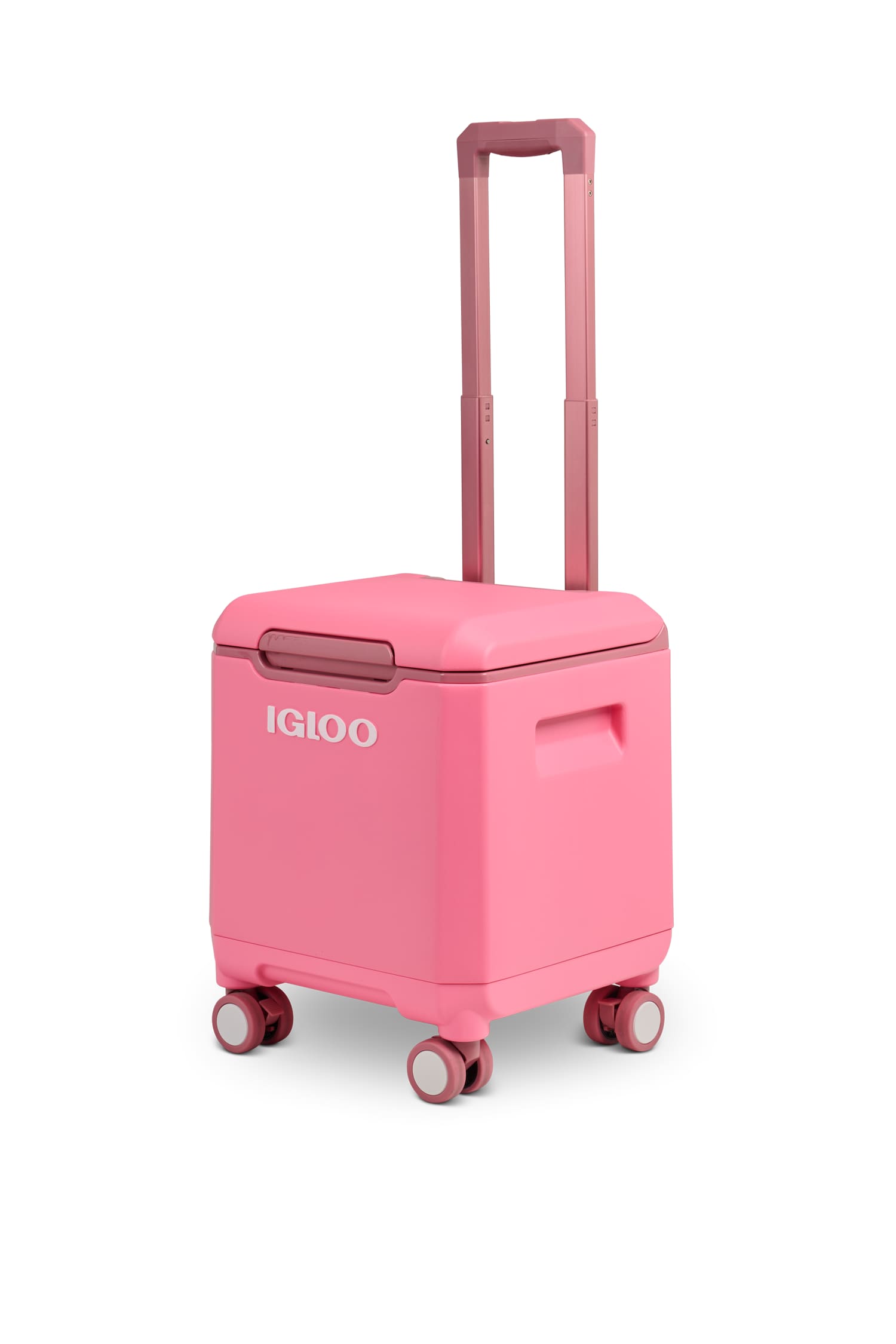 Igloo Tag Along Too 360 Spinner 19 L Kühlbox Rosa, Herren, Größe: 0