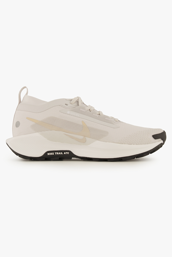 Nike Pegasus Trail 5 Gore-Tex® chaussures de trailrunning hommes Gris 42357 1