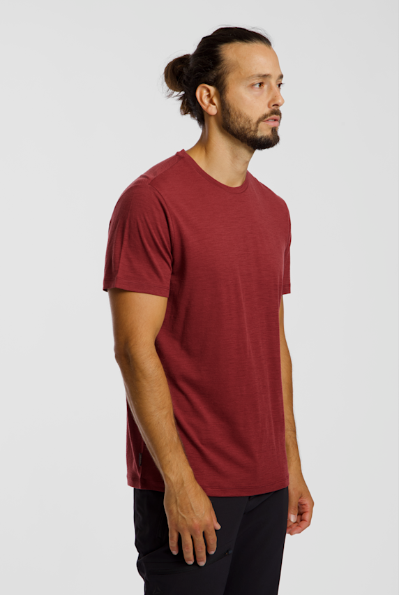 icebreaker Merino 150 Tech Lite t-shirt uomo Bordeaux 54368 1