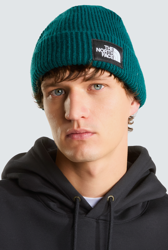 The North Face Salty Lined berretto Verde 65122 1