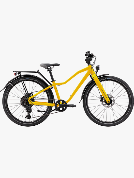 damenfahrrad 28 zoll nabendynamo 28