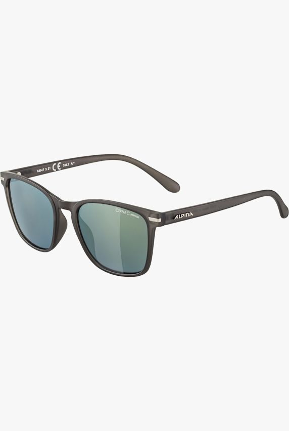 ALPINA Yefe lunettes de soleil Gris 20640 1