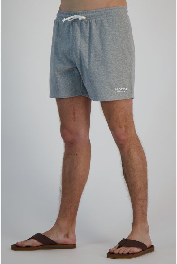 PROTEST PRTMORNEY Herren Short Grau 29628 1