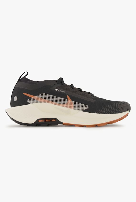Nike Pegasus Trail 5 Gore-Tex® scarpe da trailrunning uomo Nero 37095 1