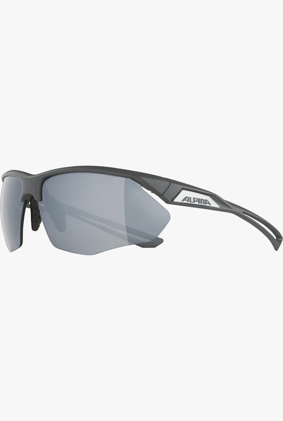 ALPINA Nylos HR occhiali sportivi Grigio 38846 1