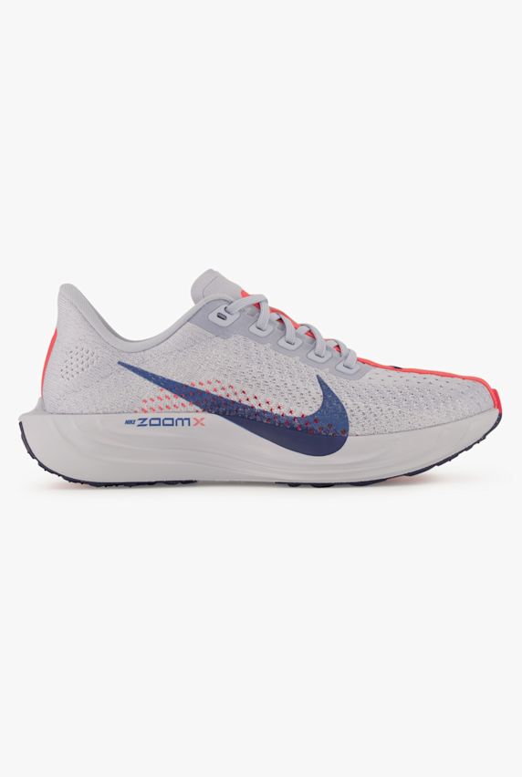 Nike Pegasus Plus chaussures de course femmes Gris 40557 1