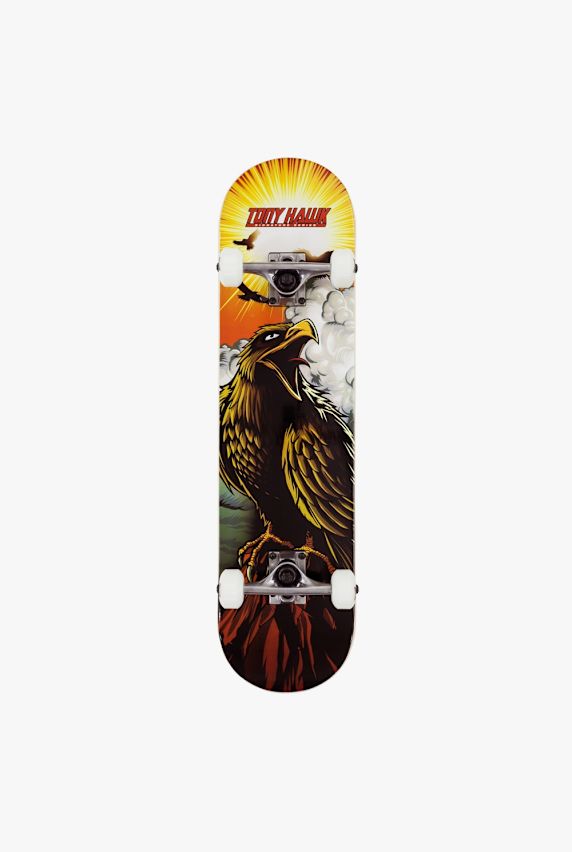 Tony Hawk SS 180 Complete Skateboard Braun 40915 1
