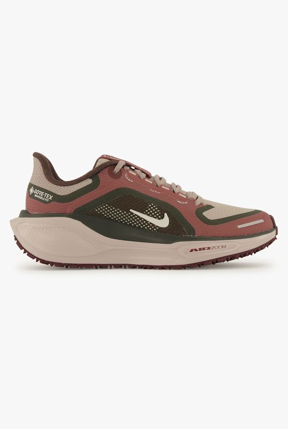 Nike Pegasus 41 Gore-Tex® scarpe da corsa donna Marrone 42428 1