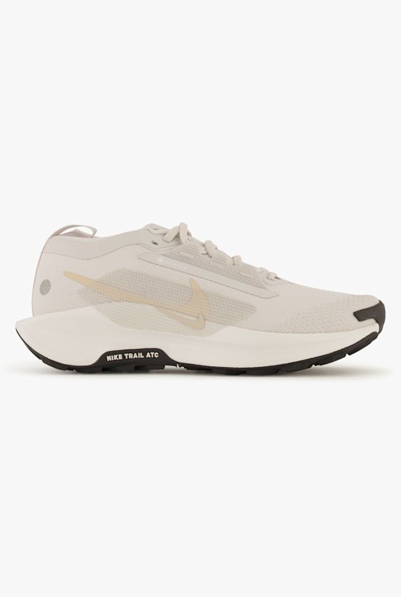 Nike Pegasus Trail 5 Gore-Tex® scarpe da trailrunning donna Grigio 42436 1