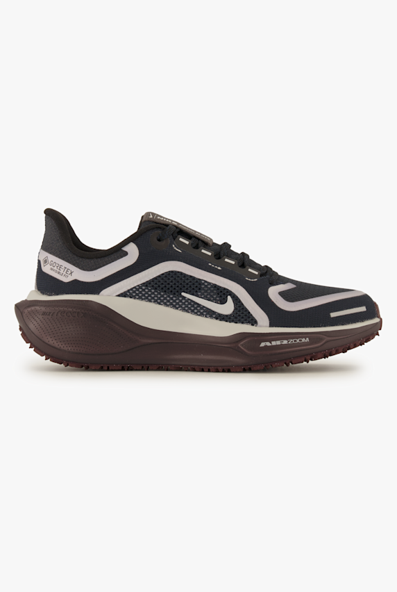 Nike Pegasus 41 Gore-Tex® Damen Laufschuh Blau 45095 1