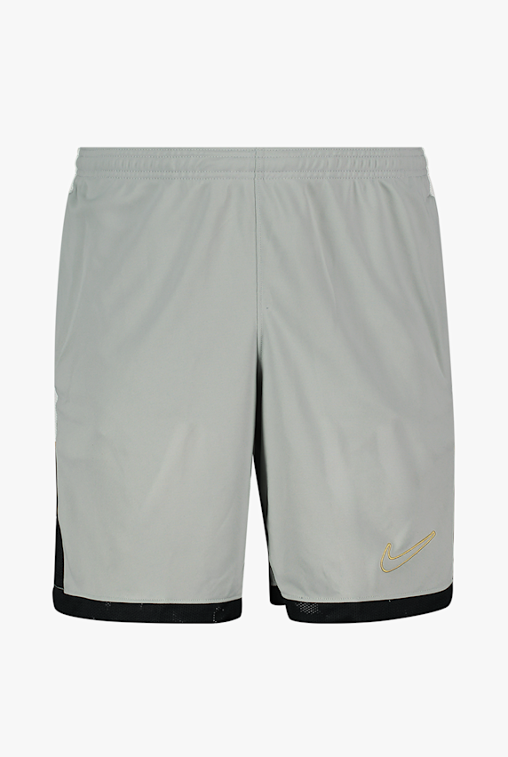 Nike Dri-FIT Academy 25 short hommes Gris 47843 1