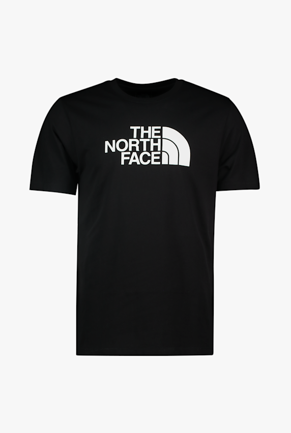 The North Face Evolution Half Dome t-shirt uomo Nero 48764 1