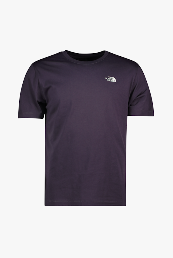 The North Face Evolution Simple Dome t-shirt hommes Gris 48777 1