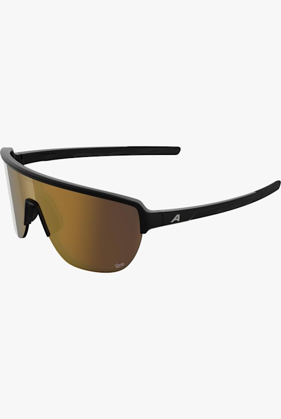 ALPINA Ram 2.0 Q-Lite lunettes de sport Noir 49382 1