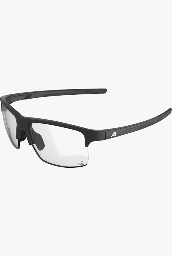 ALPINA Eagle V Sportbrille Schwarz 49379 1