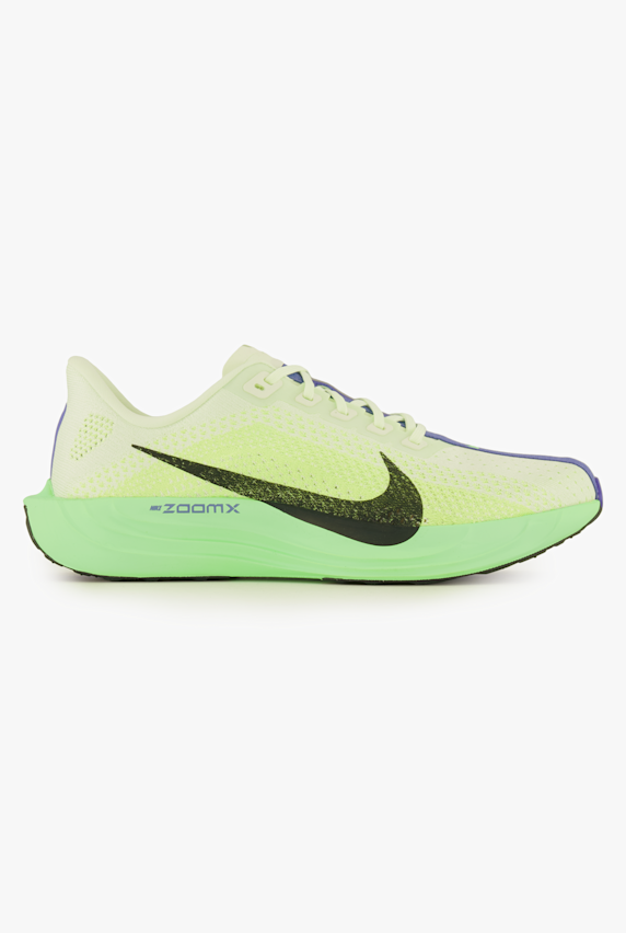 Nike Pegasus Plus chaussures de course hommes Vert 51370 1