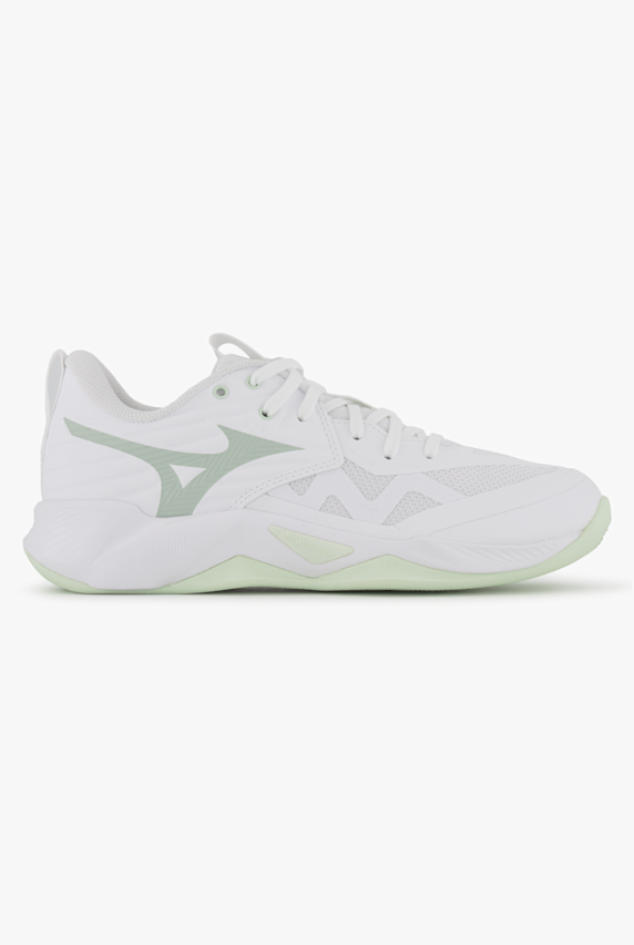 Mizuno Wave Momentum Pro Damen Hallenschuh Grau 53166 1