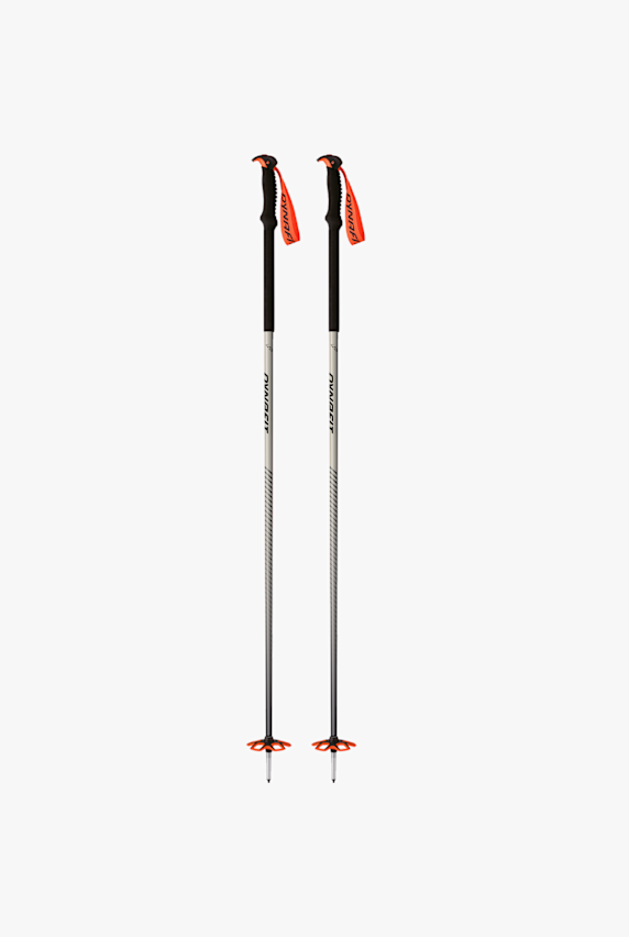 Dynafit Tour bâton de ski de randonnée Gris 57063 1