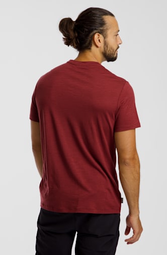 icebreaker Merino 150 Tech Lite Transportage t-shirt hommes Bordeaux