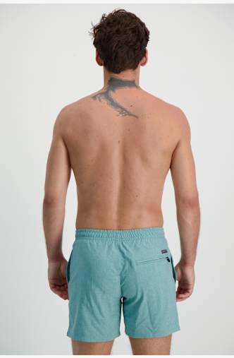 PROTEST DAVEY short de bain hommes Vert