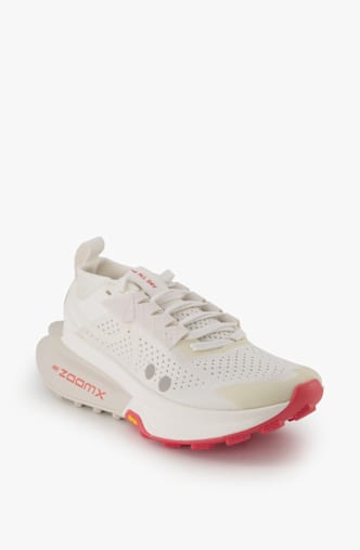 Nike Zegama Trail 2 chaussures de trailrunning femmes Argent