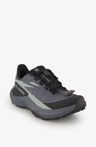 Salomon Genesis Gore-Tex® scarpe da trailrunning donna Grigio