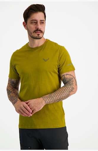 Dynafit 24/7 Graphic t-shirt uomo Verde