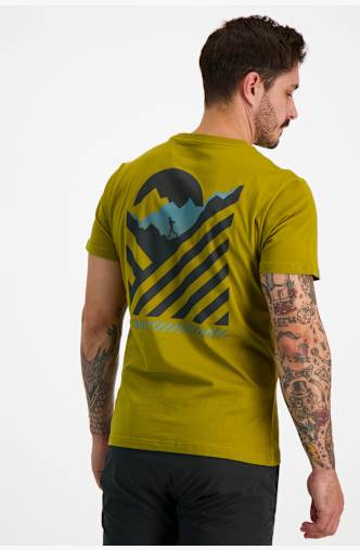 Dynafit 24/7 Graphic t-shirt hommes Vert