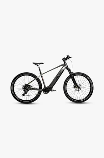 Stoke Ruvio 29 E-Mountainbike Grau