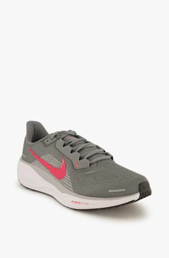 Nike Pegasus 41 chaussures de course hommes Gris