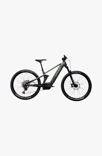 e-Framer Sport 29 E-Mountainbike Grün