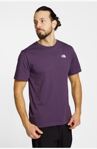 The North Face Evolution Simple Dome Herren T-Shirt Grau