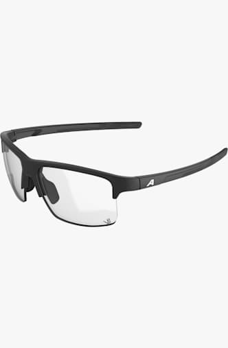ALPINA Eagle V lunettes de sport Noir
